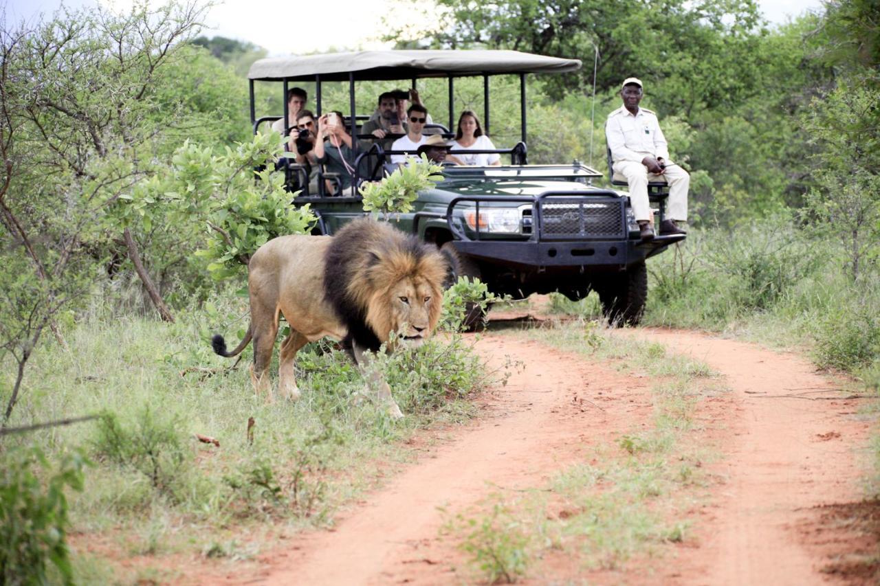 Karongwe Portfolio - Kuname Lodge Karongwe Game Reserve Εξωτερικό φωτογραφία
