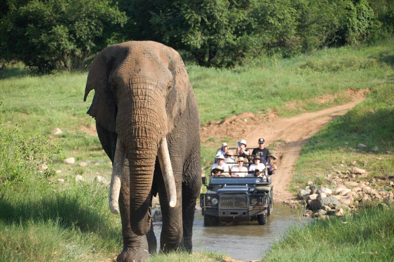 Karongwe Portfolio - Kuname Lodge Karongwe Game Reserve Εξωτερικό φωτογραφία
