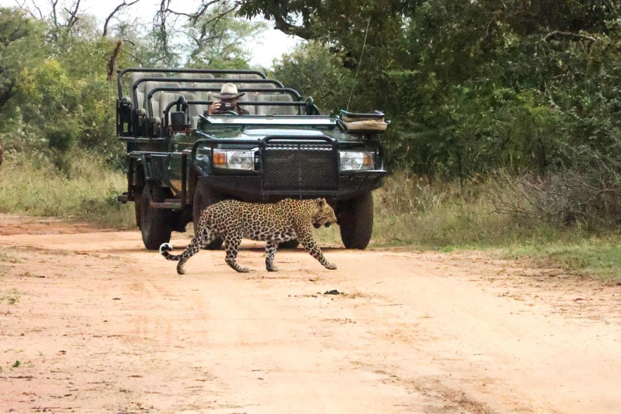 Karongwe Portfolio - Kuname Lodge Karongwe Game Reserve Εξωτερικό φωτογραφία