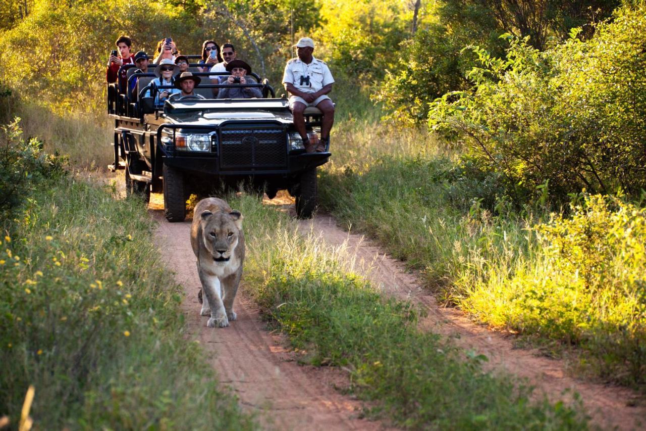 Karongwe Portfolio - Kuname Lodge Karongwe Game Reserve Εξωτερικό φωτογραφία