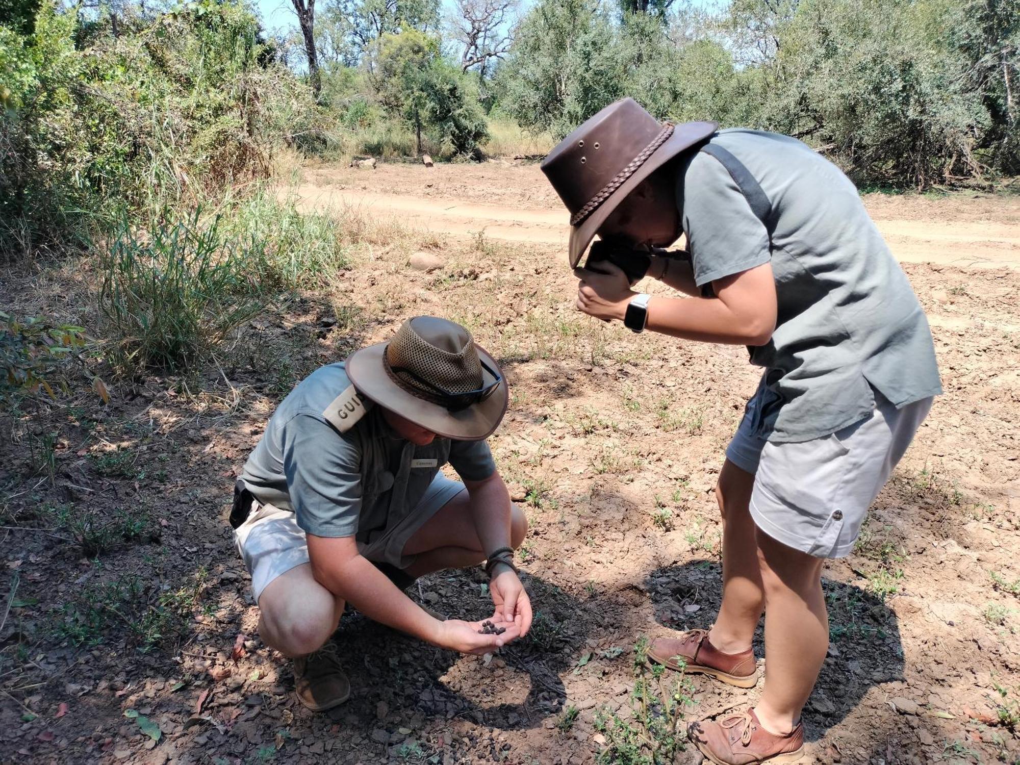 Karongwe Portfolio - Kuname Lodge Karongwe Game Reserve Εξωτερικό φωτογραφία