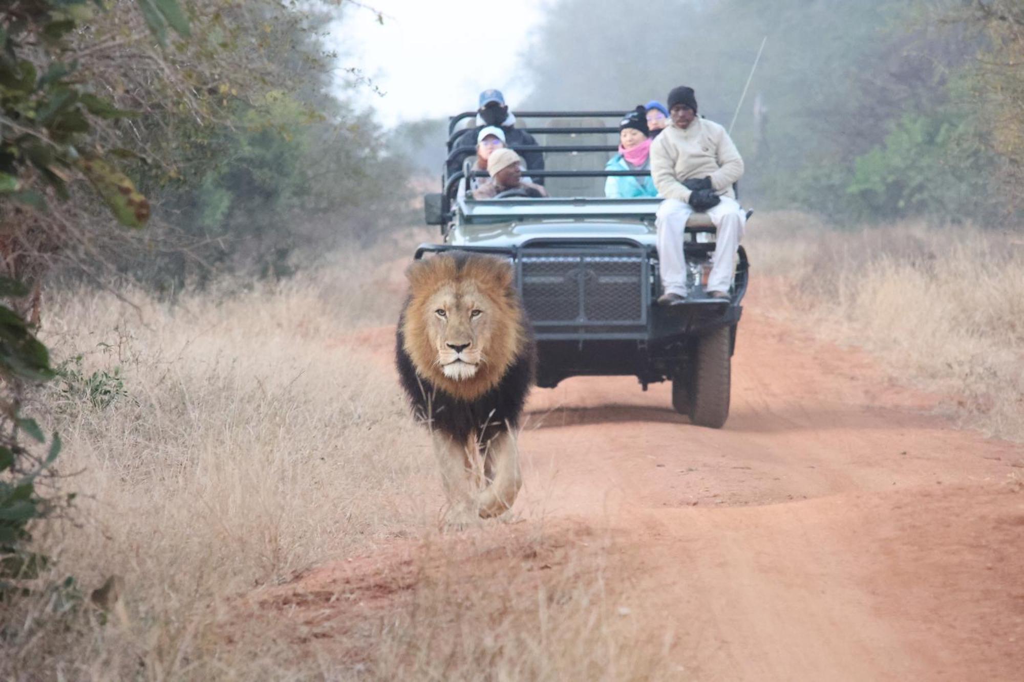 Karongwe Portfolio - Kuname Lodge Karongwe Game Reserve Εξωτερικό φωτογραφία